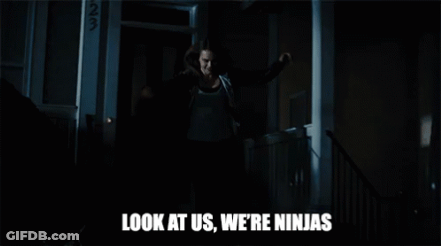 Look At Us We're Ninjas GIF