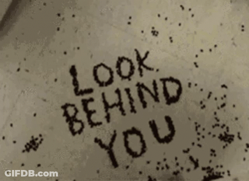Look Behind You Is Written In Black Letters On A White Surface GIF
