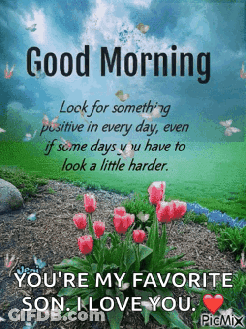 Look For Something Positive Everyday Adage GIF