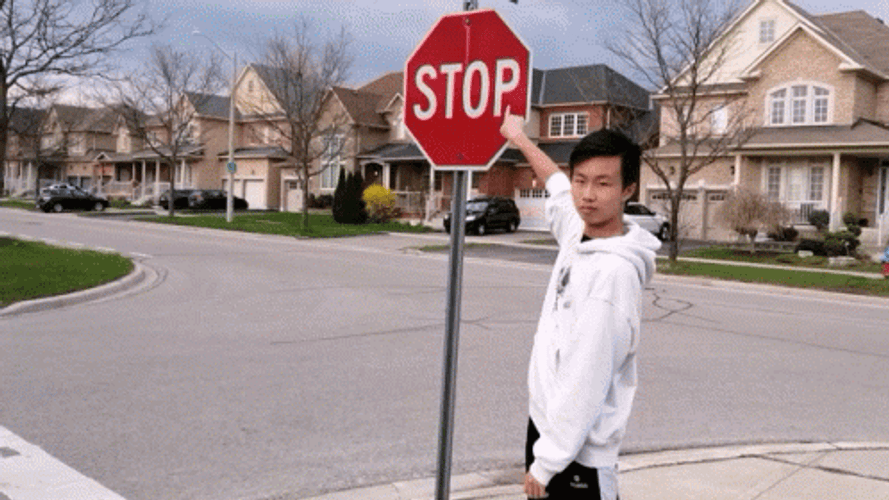 Look Stop Sign GIF