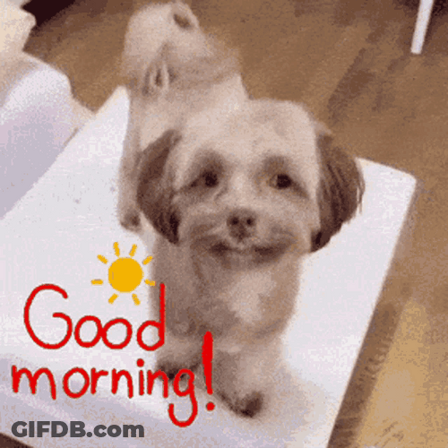 Looking Around Good Morning Puppy GIF