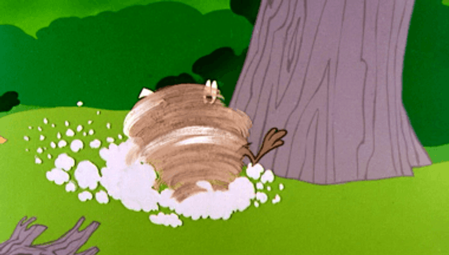 Looking Around Tasmanian Devil GIF