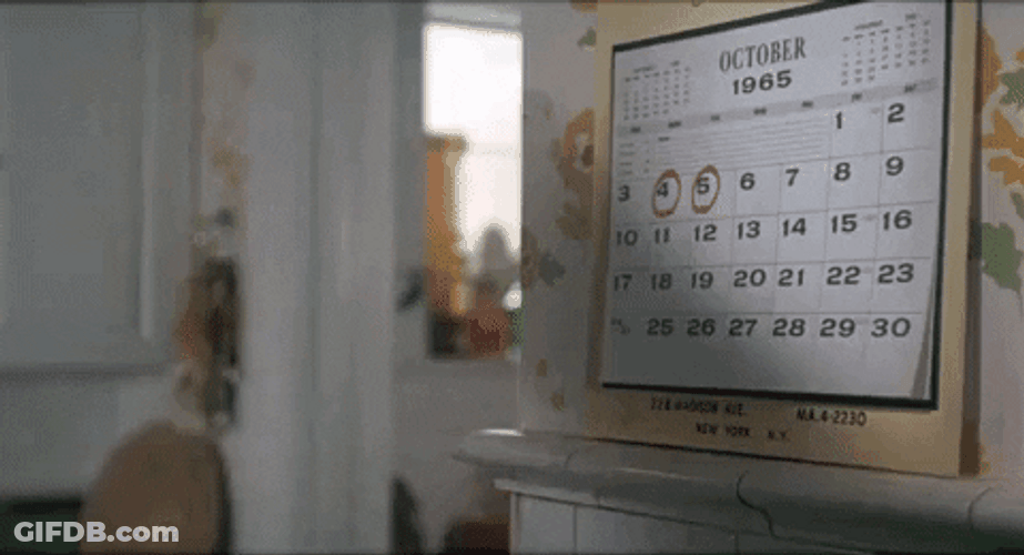 Looking At Calendar Important Day GIF