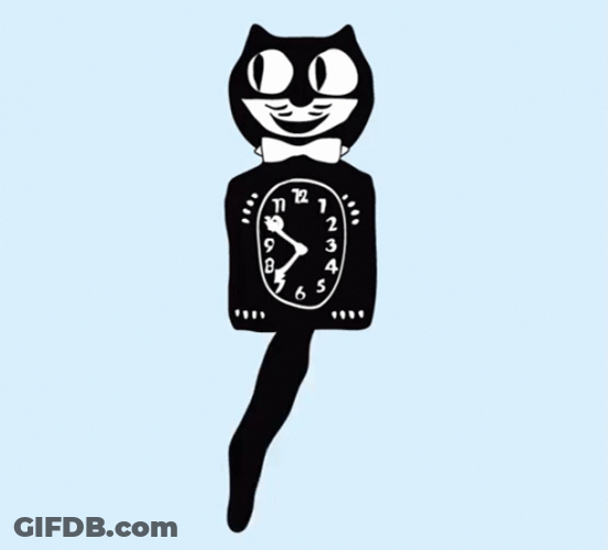 Looking At Watch Clock Time Cat GIF