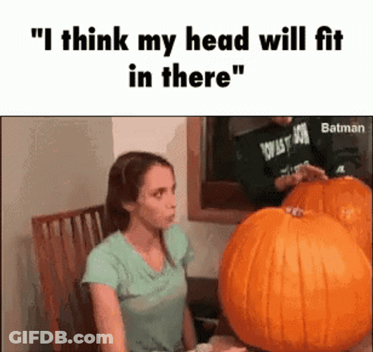 Looking For Pumpkin Pie Spice Inside GIF