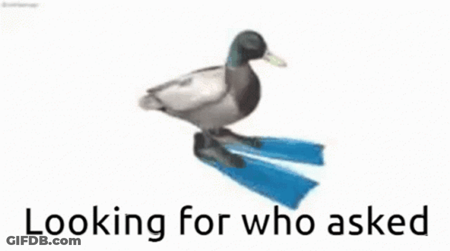 Looking For Who Asked Duck Spinning GIF