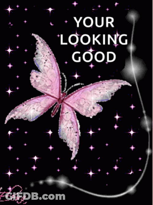 Looking Good Sparkling Butterfly GIF