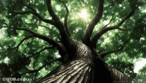Looking Up At Tree With Mahcyome.tumblr.com GIF