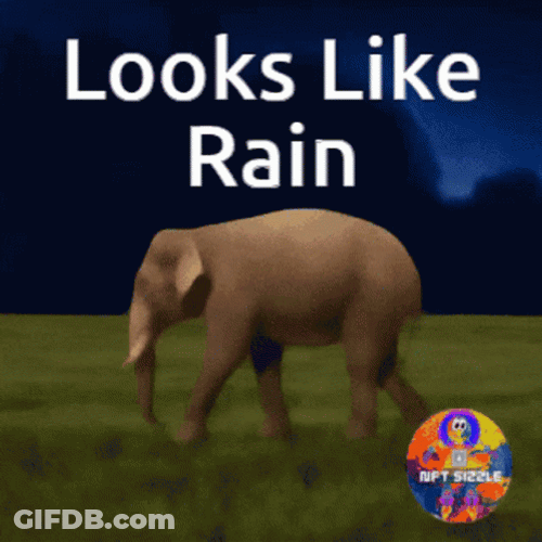 Looks Like Its Rainy Monday GIF