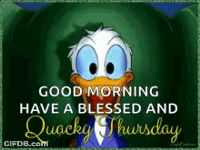 Looney Tunes Donald Duck Funny Thursday Greetings GIF