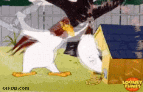 Looney Tunes Duck And Chicken GIF