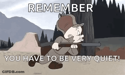 Looney Tunes Elmer Fudd Is Holding A Rifle And Says `` Remember You Have To Be Very Quiet ! '' GIF