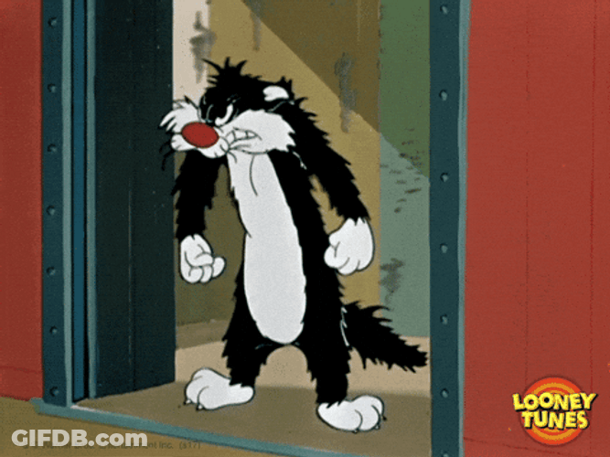 Looney Tunes Loco Sylvester Cat GIF