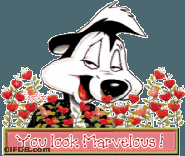 Looney Tunes Pepe Le Pew You Look Marvelous GIF