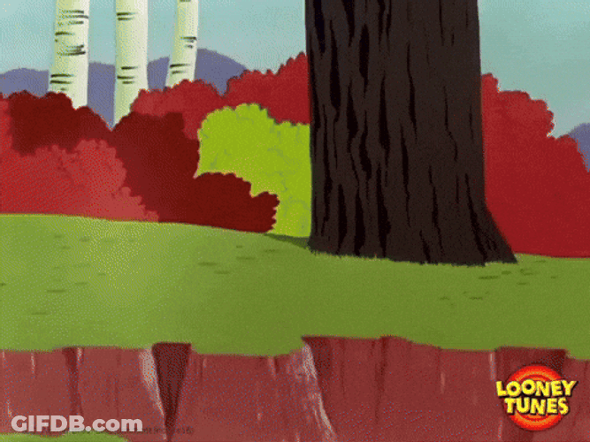 Looney Tunes Pto GIF