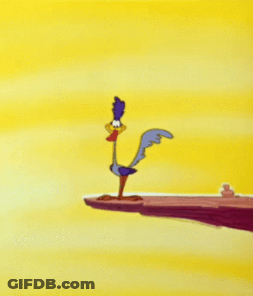 Looney Tunes Road Runner Tip Of The Mountain GIF