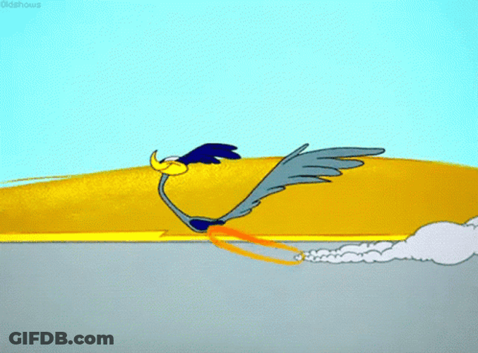Looney Tunes Roadrunner Sprinting GIF
