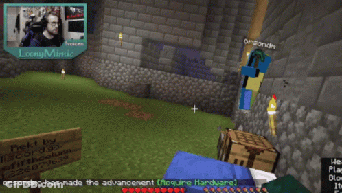 Loony Mimic Video Game Bed GIF