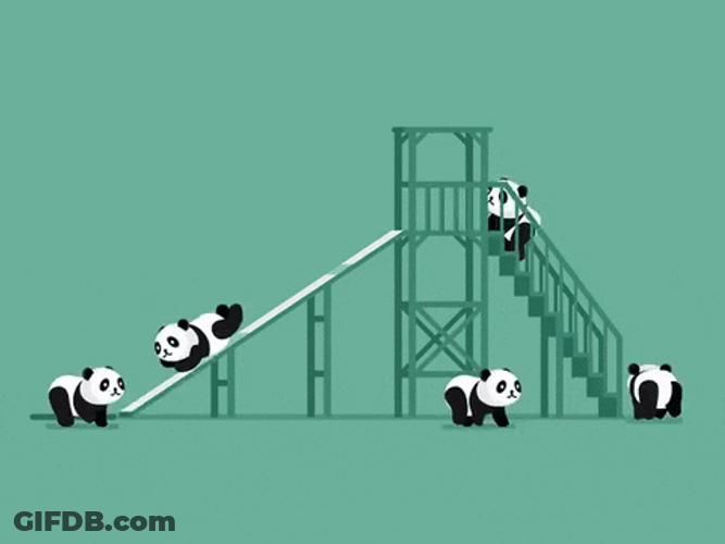 Loop Panda Playing Slide GIF