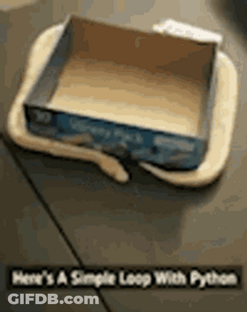 Loop Python Snake Box GIF