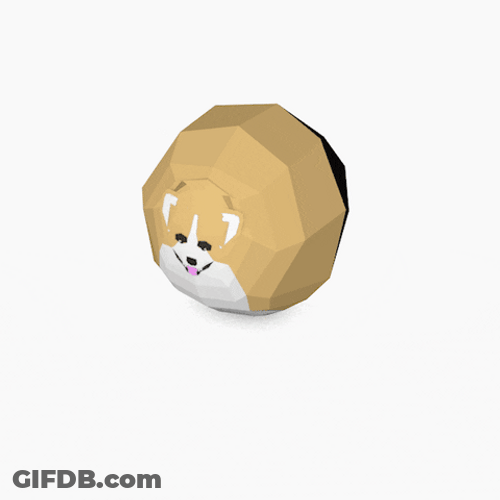 Loop Rolling Corgi Dog GIF