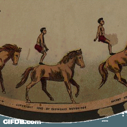 Loop Zoetrope Backflip Horse GIF