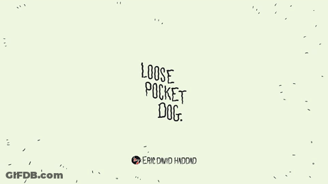 LOOSE POCKET DOG GIF