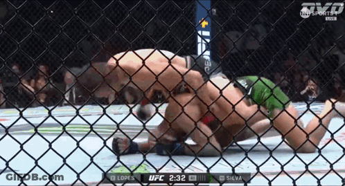 Lopes Vs Silva UFC Fight GIF
