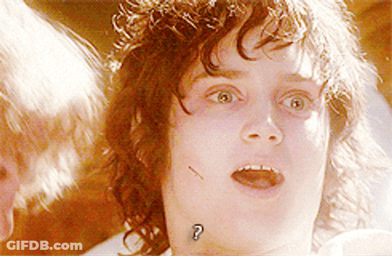 Lord Of The Rings Frodo Baggins Amazing Reaction GIF