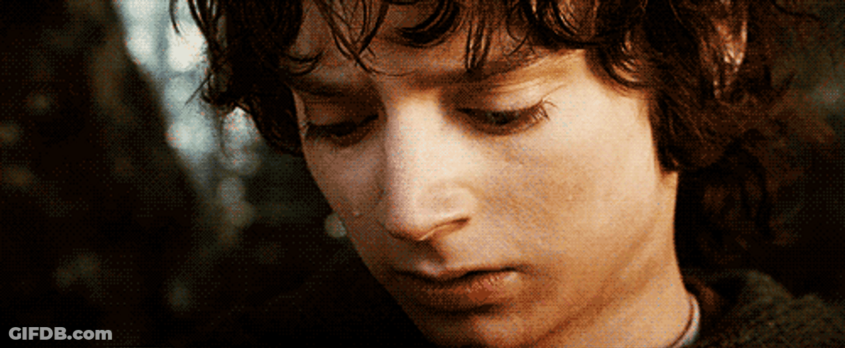 Lord Of The Rings Frodo Crying GIF
