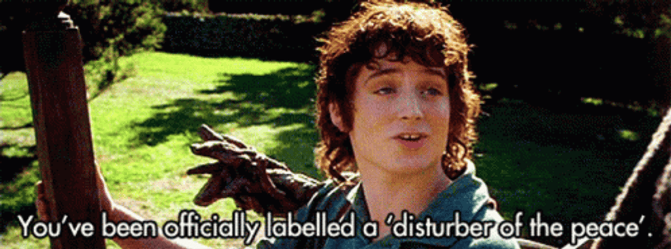 Lord Of The Rings Frodo Disturber GIF