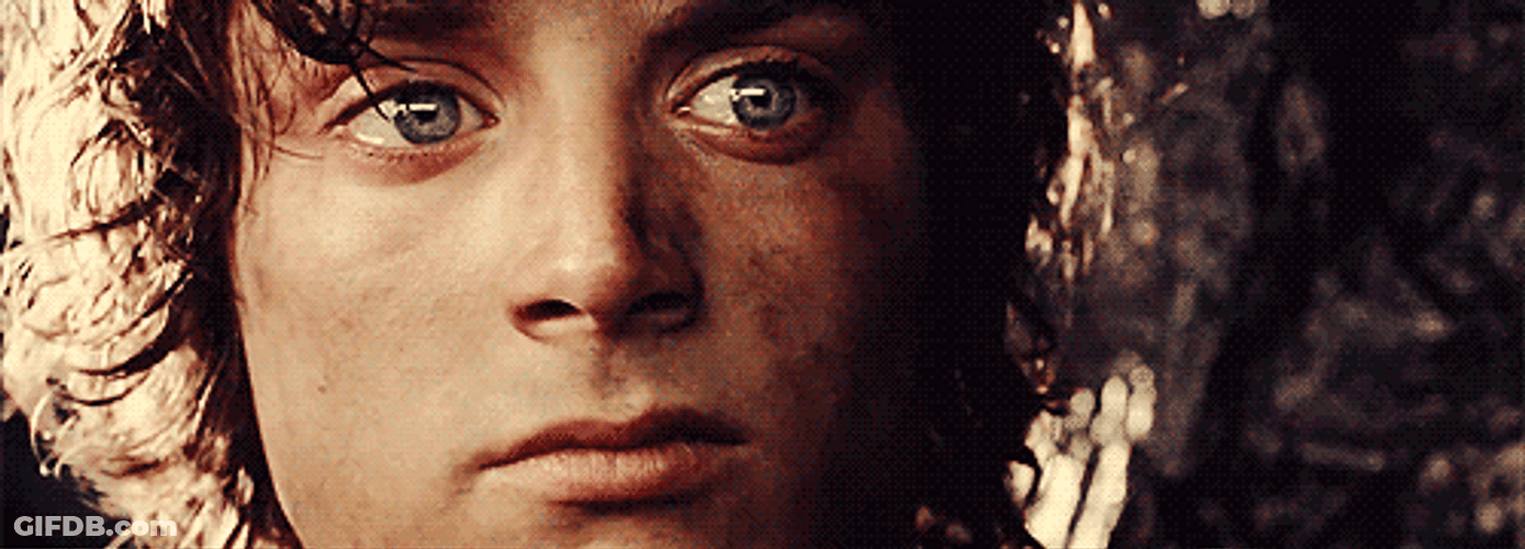 Lord Of The Rings Frodo Go Home GIF
