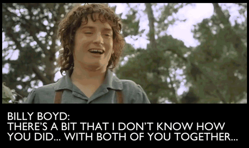 Lord Of The Rings Frodo Hug GIF
