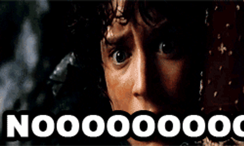 Lord Of The Rings Frodo No GIF
