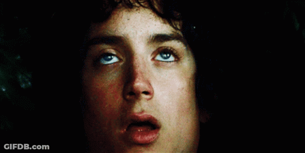 Lord Of The Rings Frodo Sleepy GIF