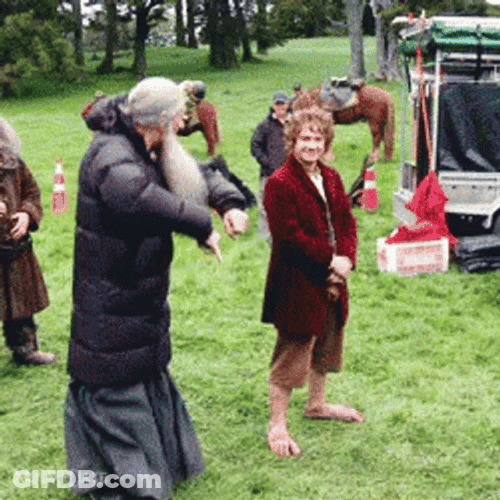 Lord Of The Rings Gandalf Frodo Dance GIF