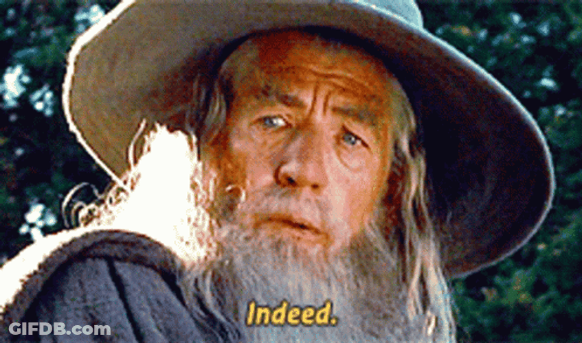 Lord Of The Rings Gandalf Indeed GIF