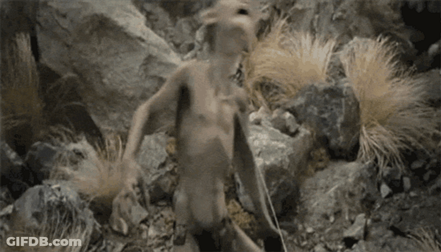Lord Of The Rings Gollum Tantrum GIF