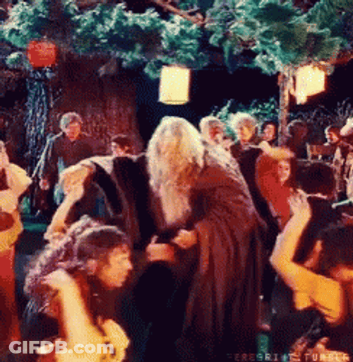 Lord Of The Rings Hobbit Party GIF
