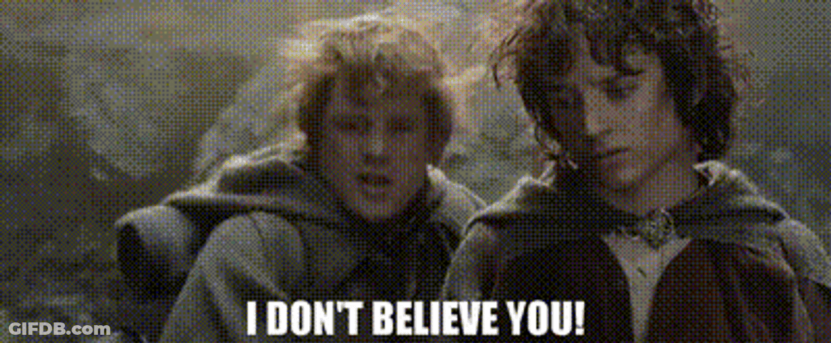 Lord Of The Rings I Don't Believe You GIF