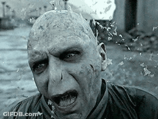 Lord Voldemort Vanishing Slowly GIF