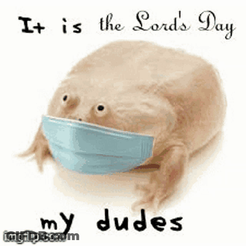 Lords Day Frog GIF