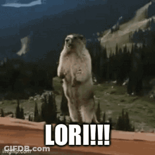 Lori Hi GIF