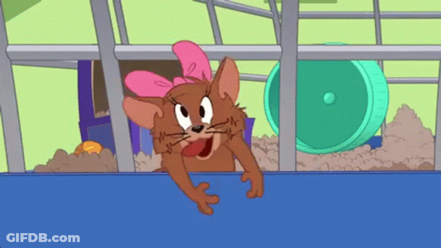 Losing My Mind Tom And Jerry GIF