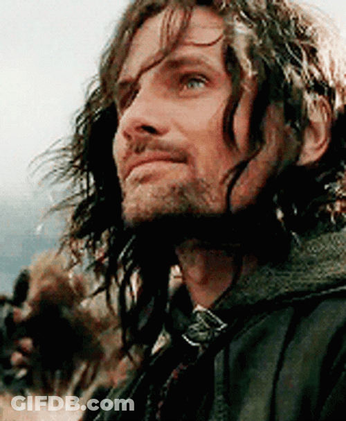 Lotr Aragorn Most Attractive Man GIF