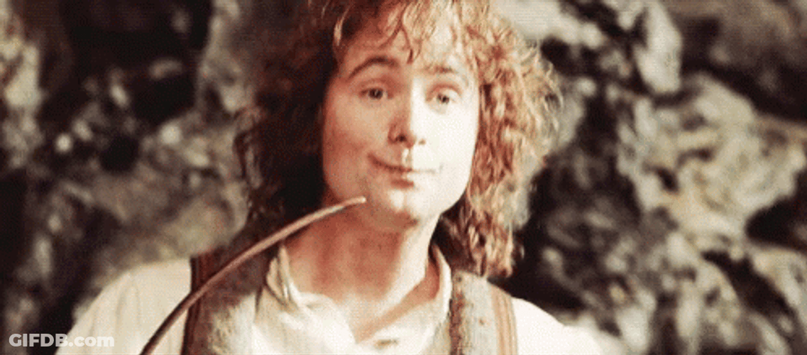 Lotr Billy Boyd Cute Face GIF