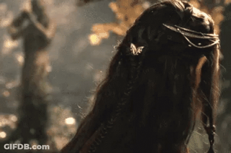 Lotr Elrond Look Back GIF