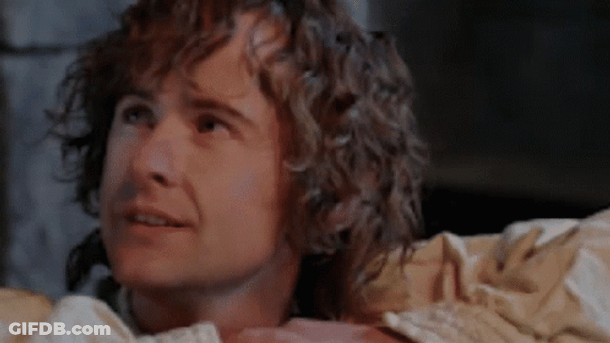 Lotr Is There Never Was Much Hope GIF