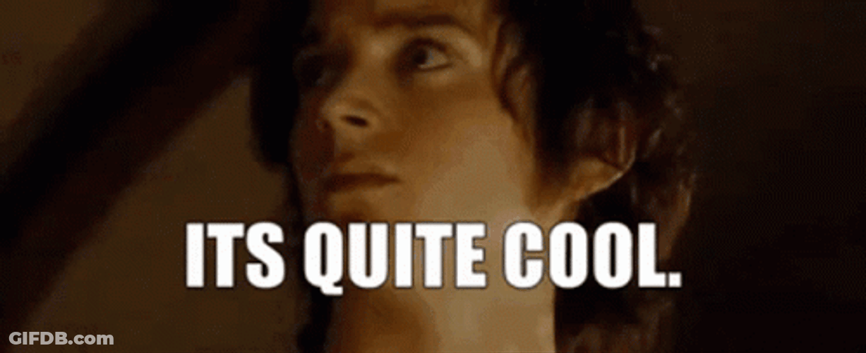 Lotr Its Quite Cool GIF