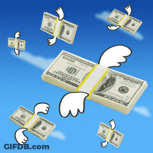 Lots Of Cash With Wings GIF